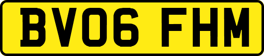 BV06FHM