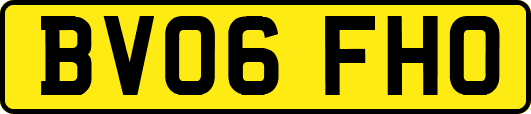 BV06FHO