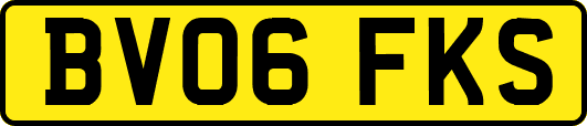BV06FKS