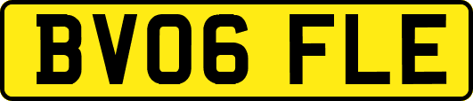 BV06FLE
