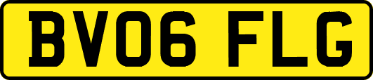 BV06FLG