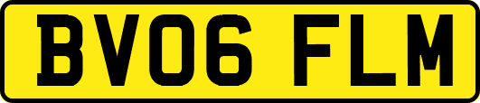 BV06FLM