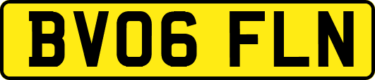 BV06FLN