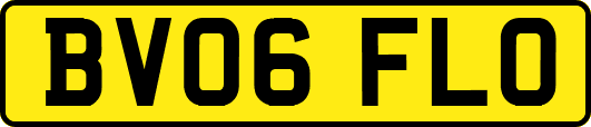 BV06FLO