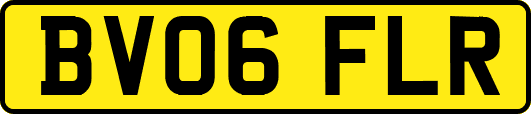 BV06FLR