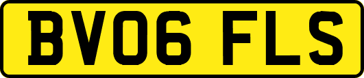 BV06FLS