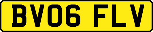 BV06FLV