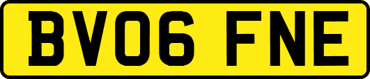 BV06FNE