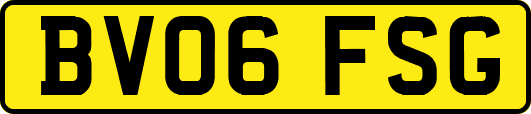 BV06FSG