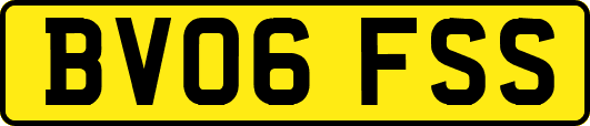BV06FSS