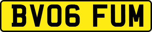 BV06FUM