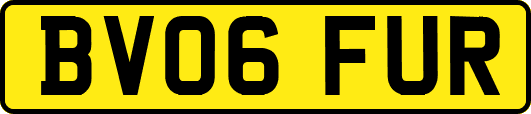BV06FUR