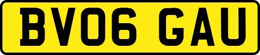 BV06GAU