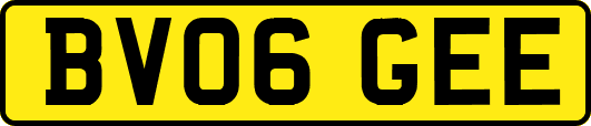 BV06GEE
