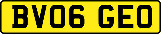 BV06GEO