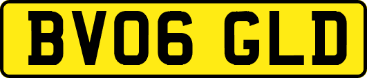BV06GLD