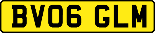 BV06GLM