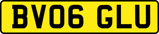 BV06GLU