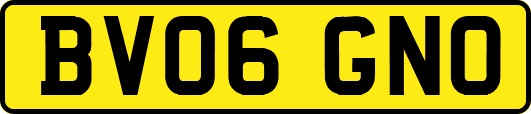 BV06GNO