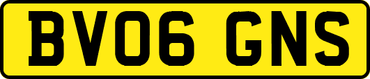 BV06GNS