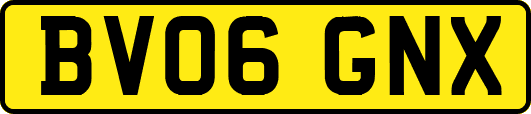 BV06GNX