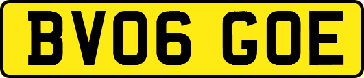 BV06GOE