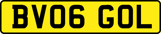 BV06GOL