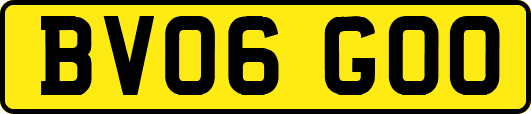BV06GOO