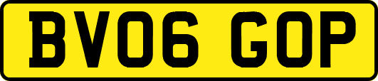BV06GOP