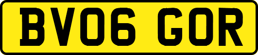 BV06GOR