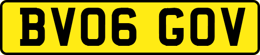 BV06GOV