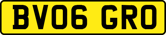 BV06GRO