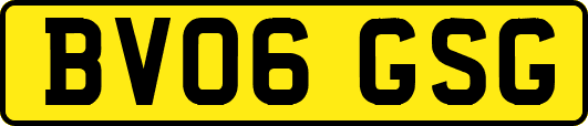 BV06GSG