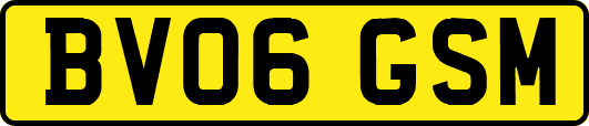 BV06GSM