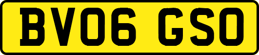 BV06GSO