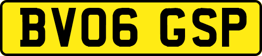 BV06GSP