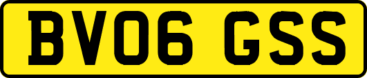 BV06GSS