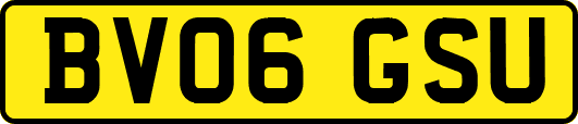 BV06GSU