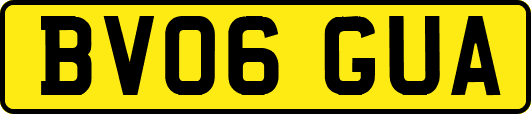 BV06GUA