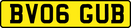 BV06GUB