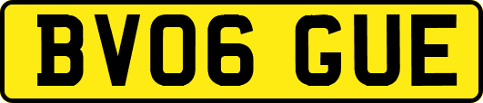 BV06GUE