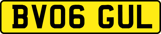 BV06GUL
