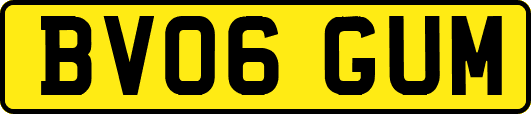 BV06GUM