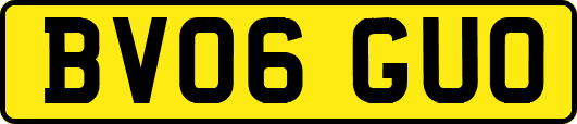 BV06GUO