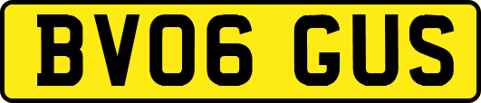 BV06GUS