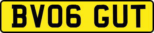 BV06GUT