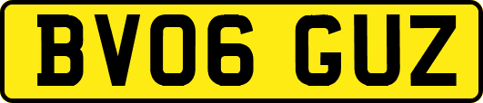BV06GUZ
