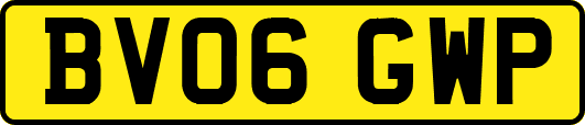 BV06GWP
