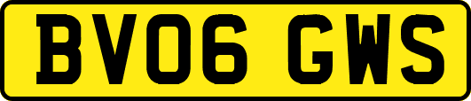 BV06GWS