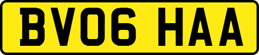 BV06HAA